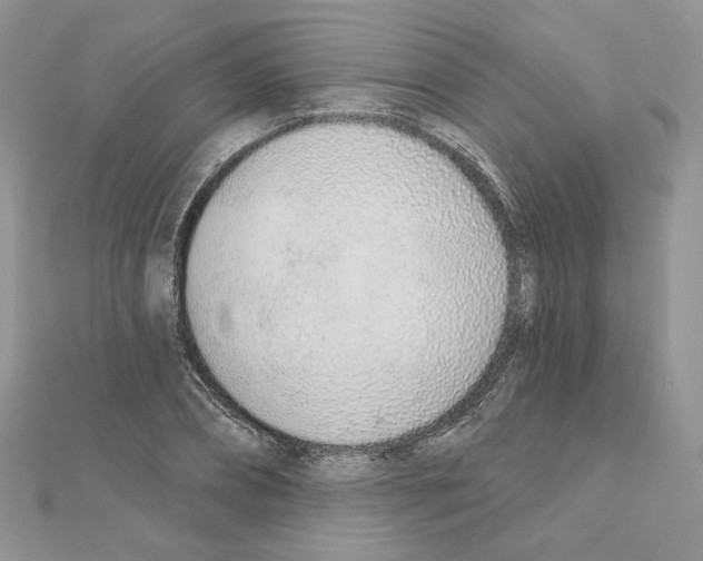 X0000110980882200907310947