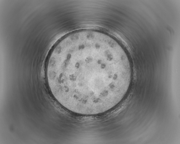 X0000110980883200907310947
