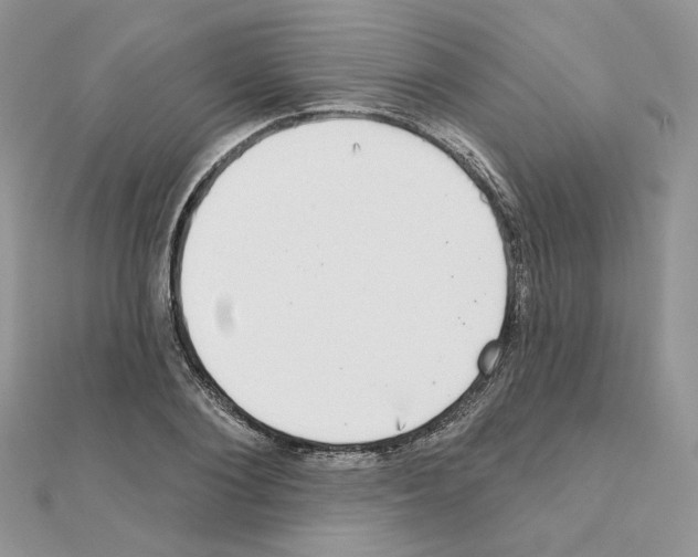 X0000110980884200907310947