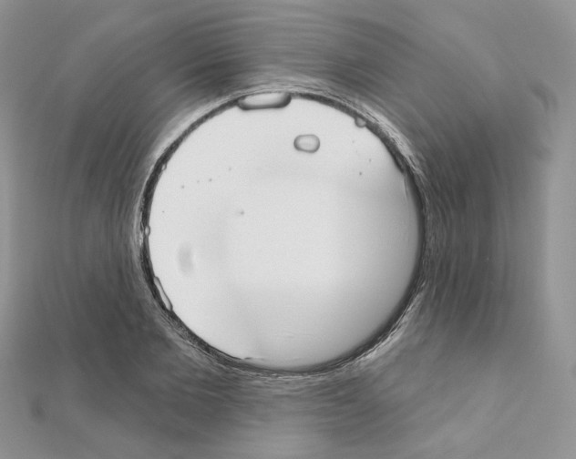 X0000110980885200907310947