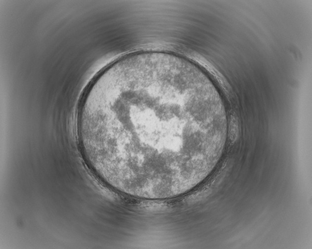 X0000110980886200907310947