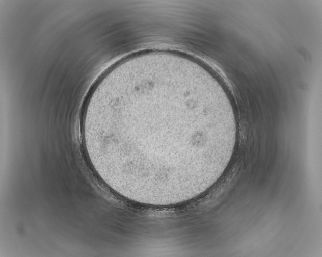 X0000110980887200907310947