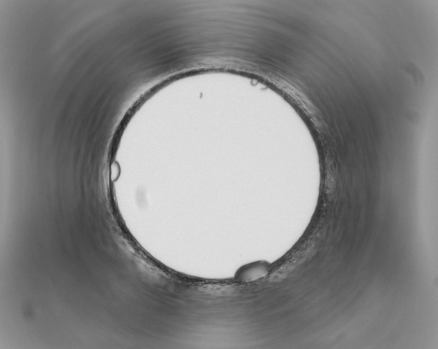 X0000110980888200907310947
