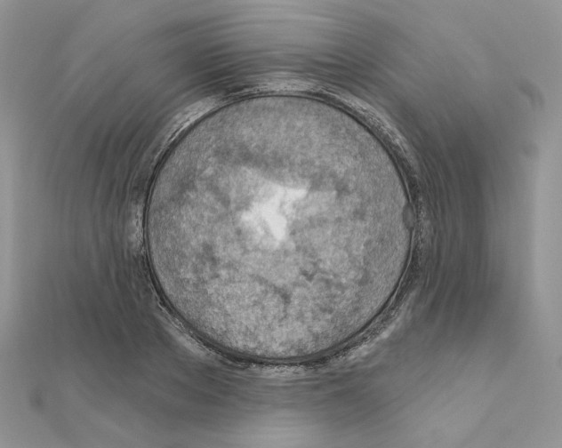 X0000110980889200907310947