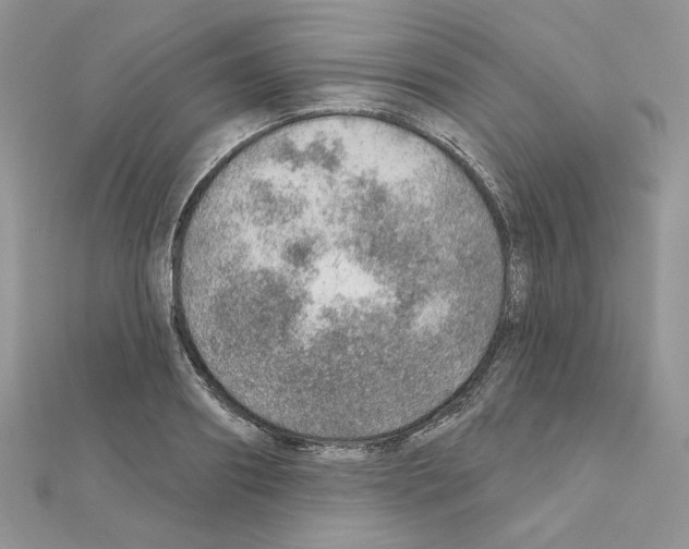 X0000110980890200907310947