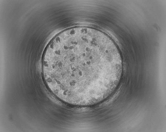 X0000110980891200907310947