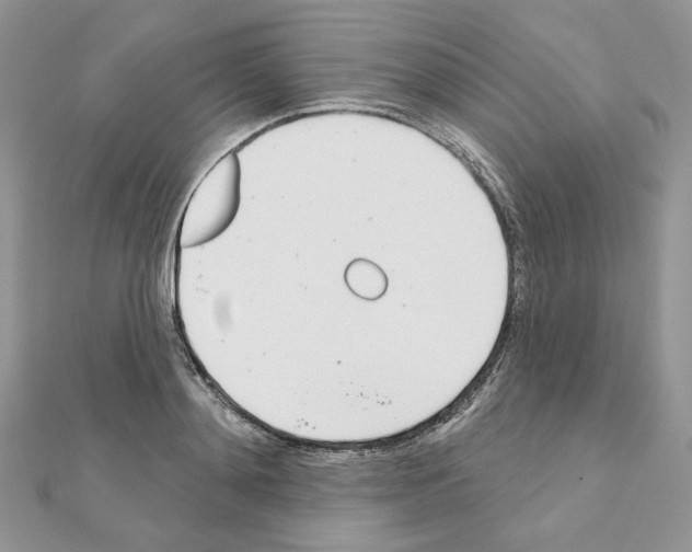 X0000110980892200907310947