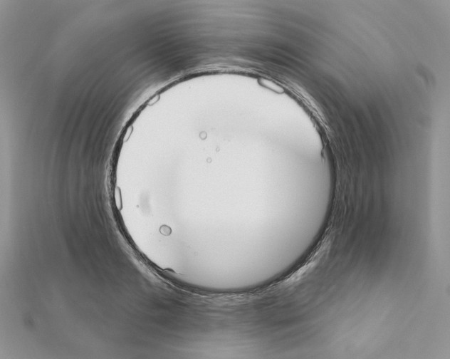 X0000110980893200907310947