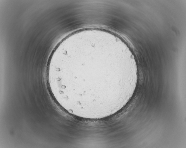 X0000110980895200907310947