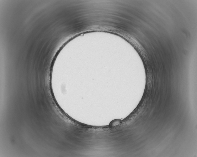 X0000110980896200907310947