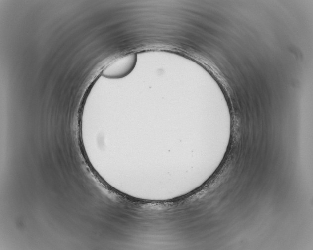 X0000110980898200907310947