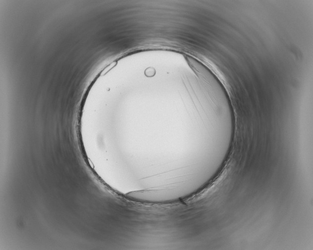 X0000110980901200907310947