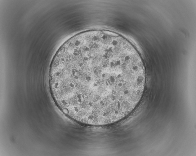 X0000110980903200907310947