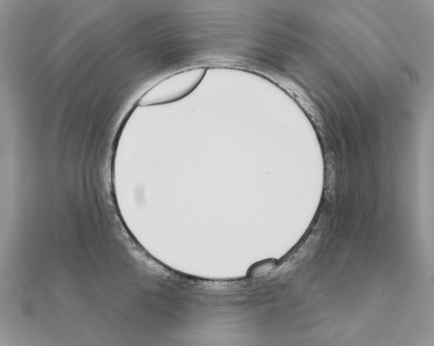 X0000110980904200907310947