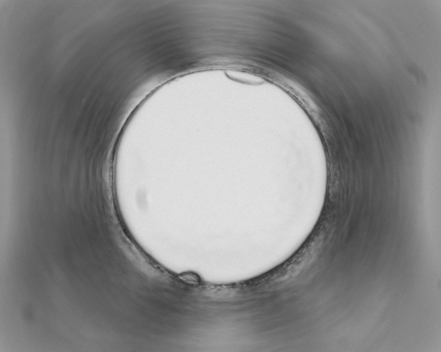 X0000110980907200907310947