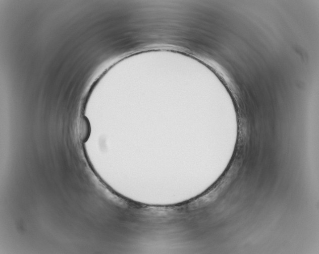 X0000110980910200907310947