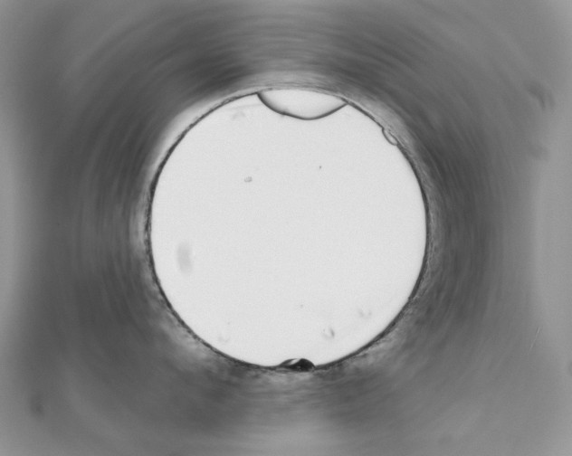 X0000110980912200907310947