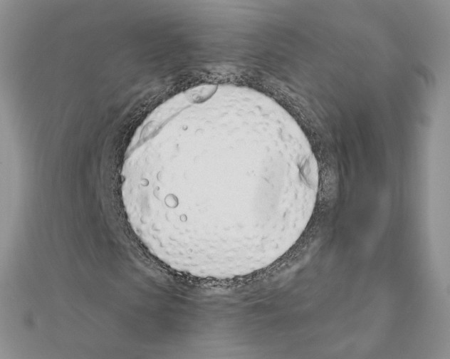 X0000110980913200907310946