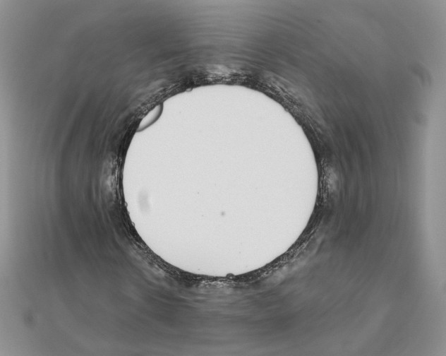 X0000110980914200907310946