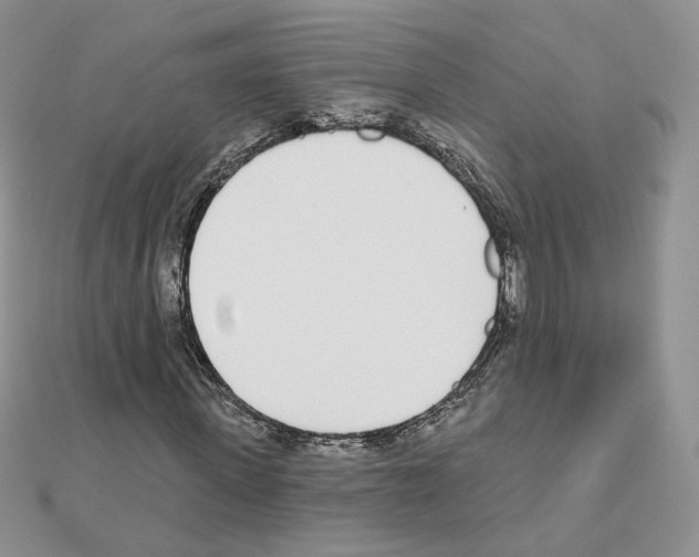 X0000110980915200907310946