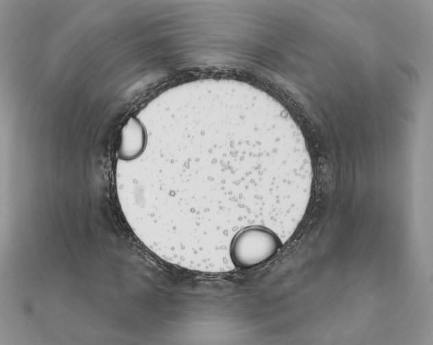 X0000110980918200907310946