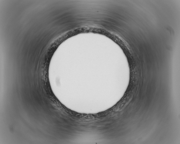 X0000110980919200907310946