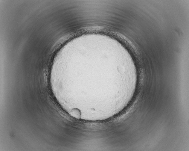 X0000110980921200907310946