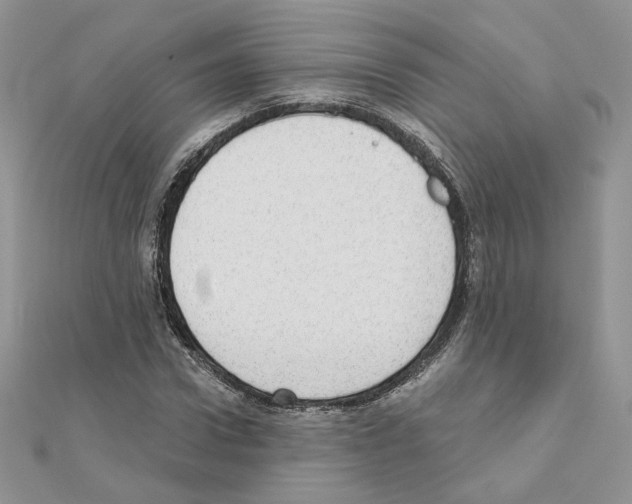 X0000110980922200907310946
