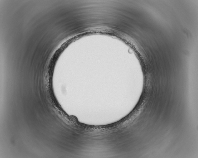 X0000110980923200907310946