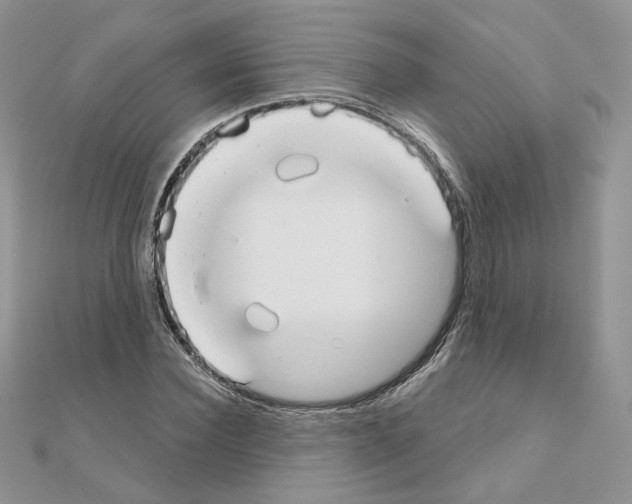 X0000110980924200907310946