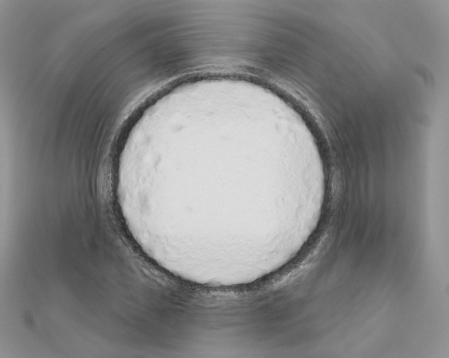 X0000110980925200907310946