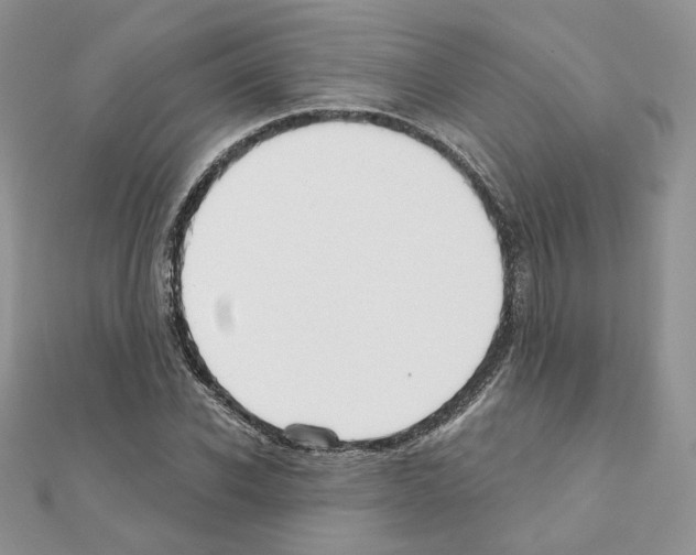 X0000110980926200907310946