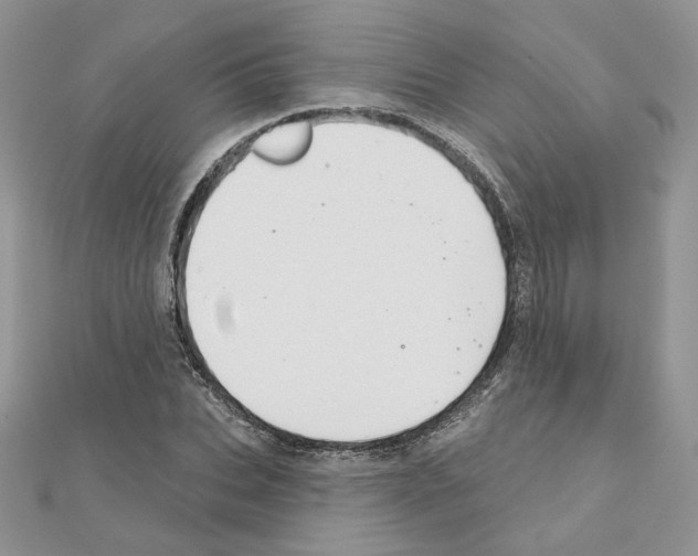 X0000110980927200907310946