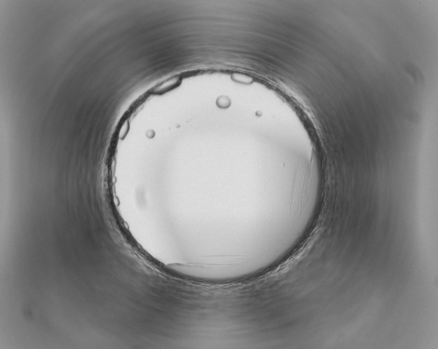 X0000110980928200907310946