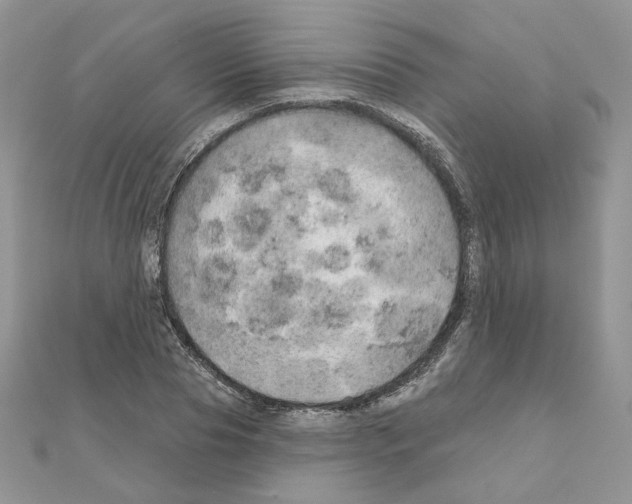 X0000110980929200907310946