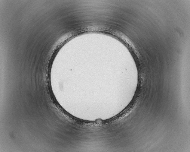 X0000110980930200907310946
