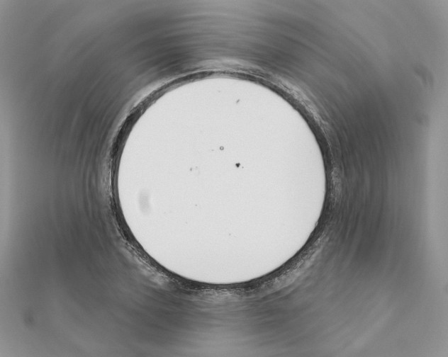 X0000110980931200907310946