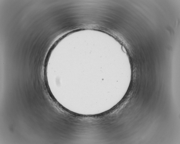 X0000110980932200907310946