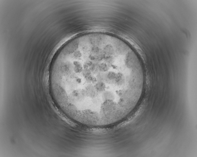 X0000110980933200907310946