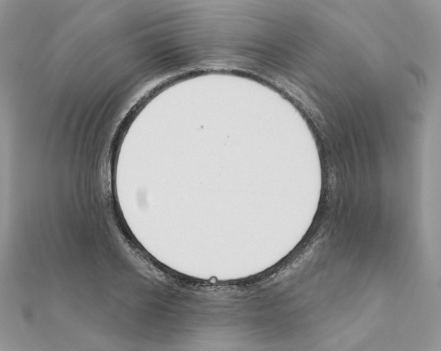 X0000110980934200907310946
