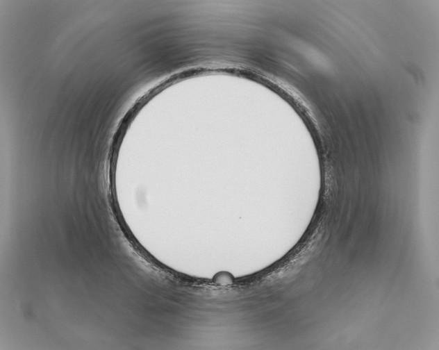 X0000110980935200907310946