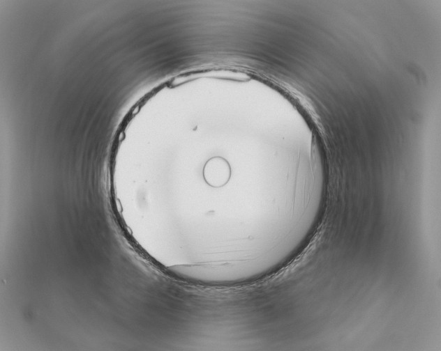 X0000110980936200907310946