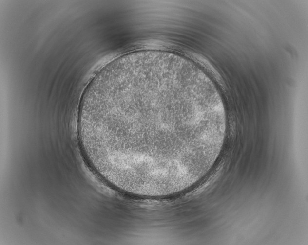 X0000110980938200907310946