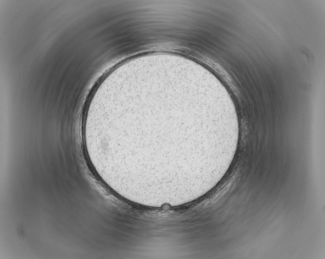 X0000110980939200907310946