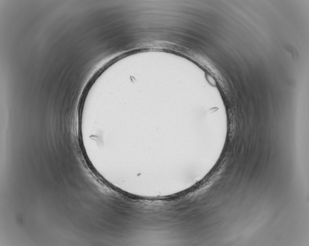 X0000110980940200907310946