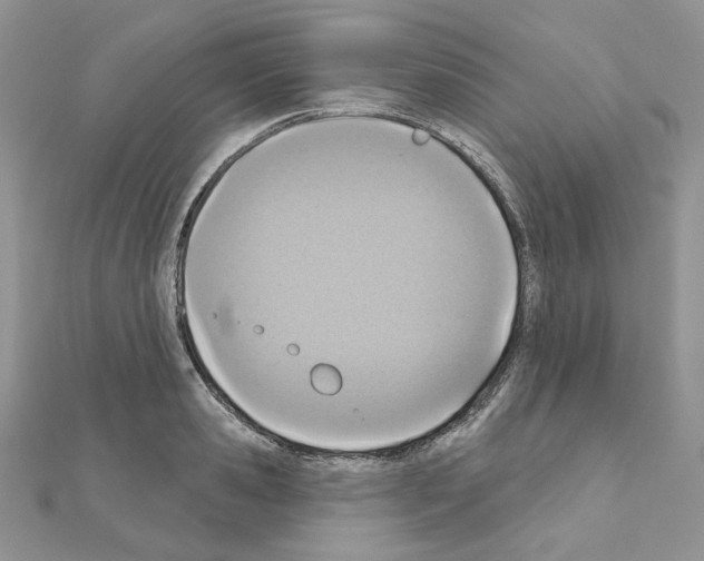 X0000110980941200907310946