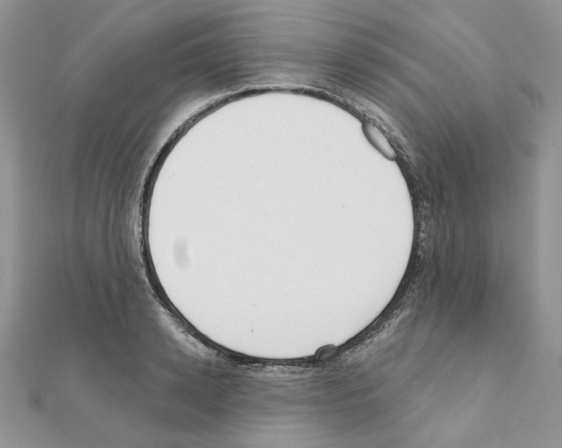 X0000110980942200907310946