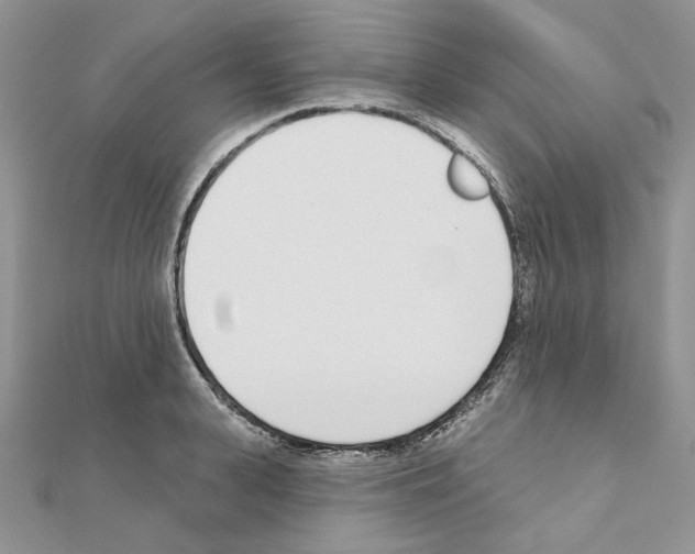 X0000110980943200907310946