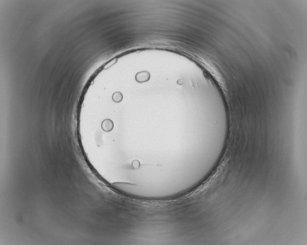 X0000110980944200907310946