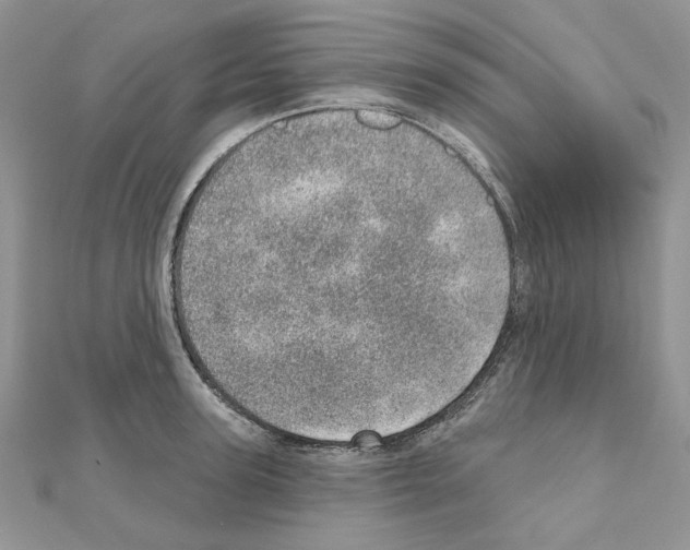X0000110980947200907310946